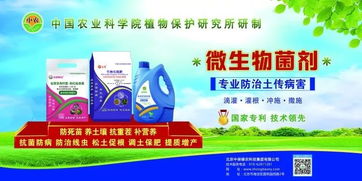 中國農(nóng)科院植保所土傳病害防治專家助力中保集團(tuán)微生物菌劑技術(shù)推廣