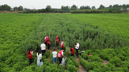 南陽師范學(xué)院生命科學(xué)學(xué)院黨員博士團(tuán)服務(wù)社會紀(jì)實 生物技術(shù)推廣服務(wù)